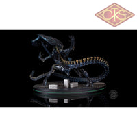 Quantum Mechanix - Q-Fig - Aliens : Alien Queen (23cm)