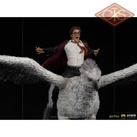 Iron Studios Statue - Harry Potter And Buckbeak (30Cm) Exclusive Iron Studios